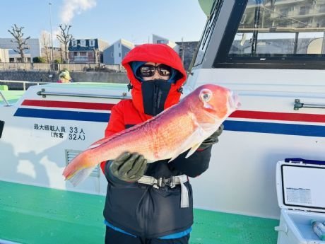 アマダイ(アカアマダイ)