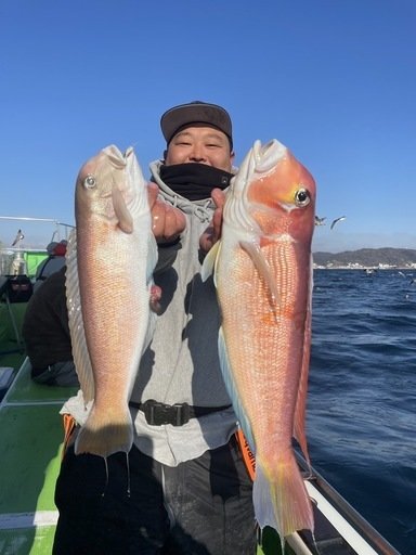 アマダイ(アカアマダイ)・シロアマダイ