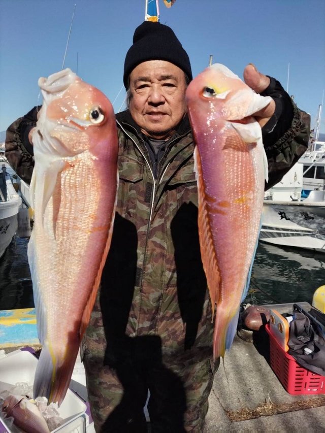 アマダイ(アカアマダイ)