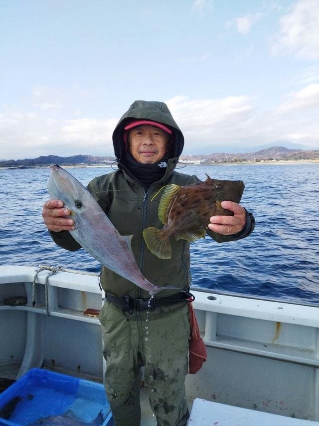 カワハギ・ウスバハギ