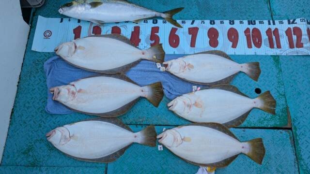 ワラサ(ブリ)・ヒラメ