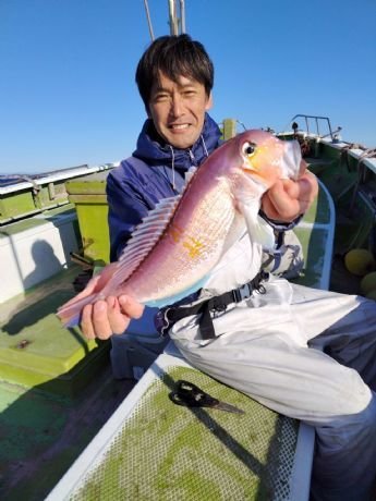 アマダイ(アカアマダイ)