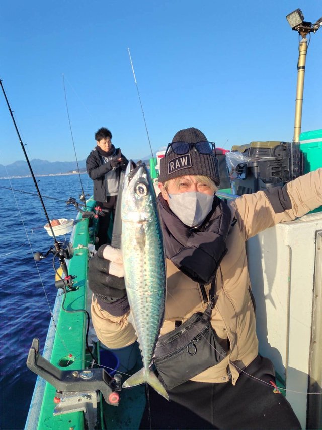 サバ(ゴマサバ)