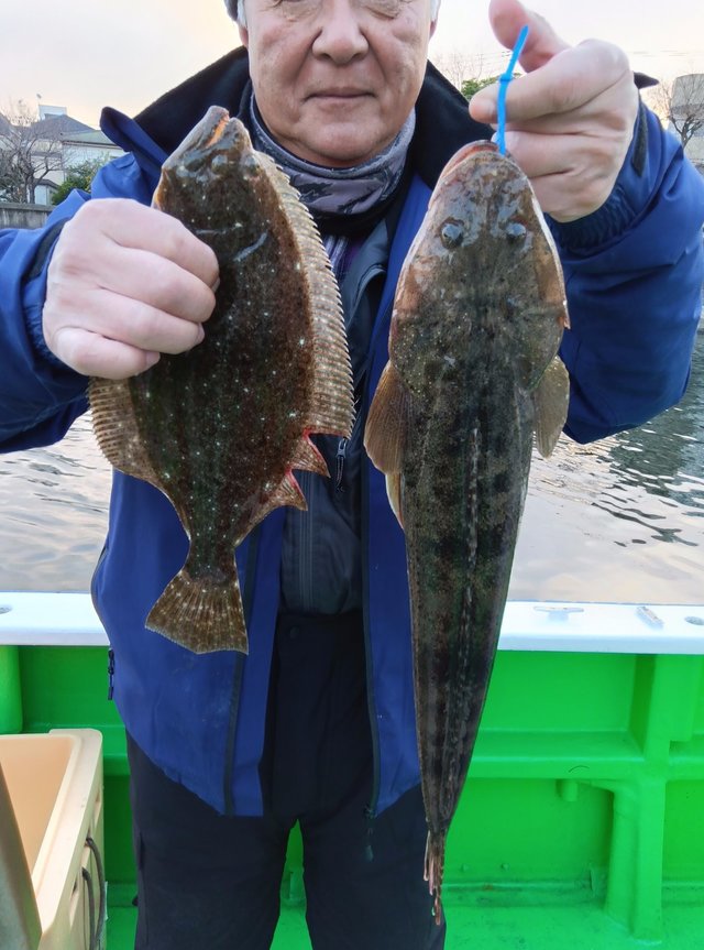 マゴチ・ヒラメ