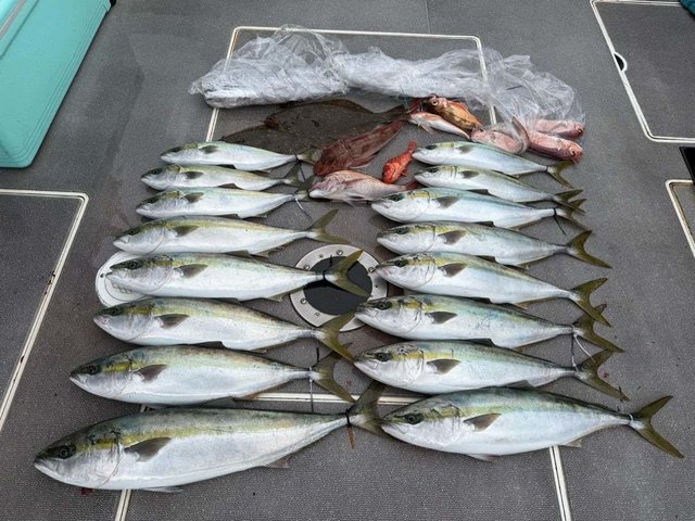 マダイ・アマダイ(アカアマダイ)・サワラ・ホウボウ・ヒラメ