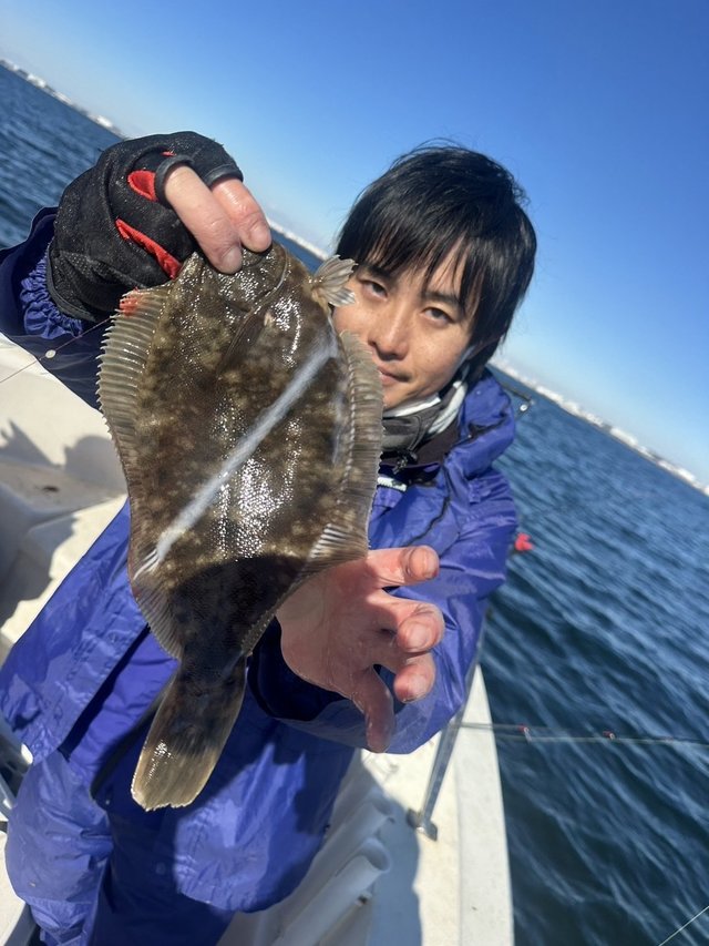 カレイ(マコガレイ)