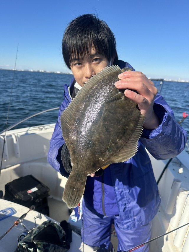 カレイ(マコガレイ)