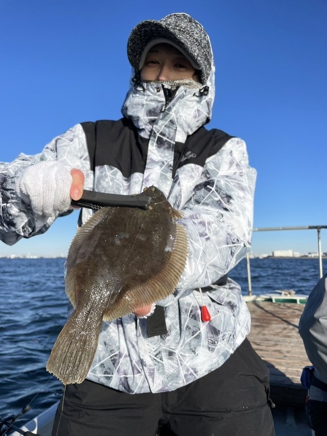 カレイ(マコガレイ)