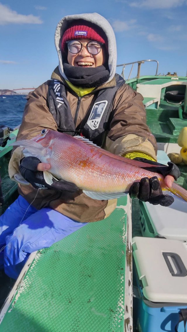 アマダイ(アカアマダイ)