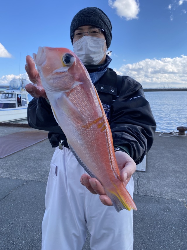 アマダイ(アカアマダイ)