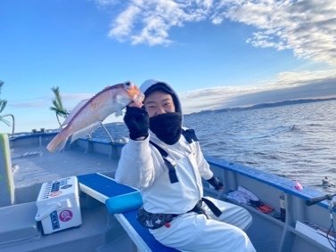 アマダイ(アカアマダイ)