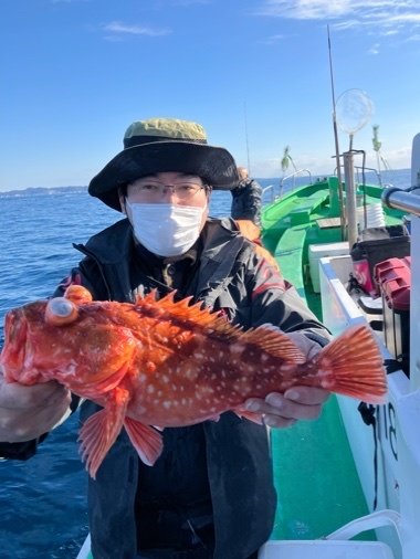 カンコ(ウッカリカサゴ)