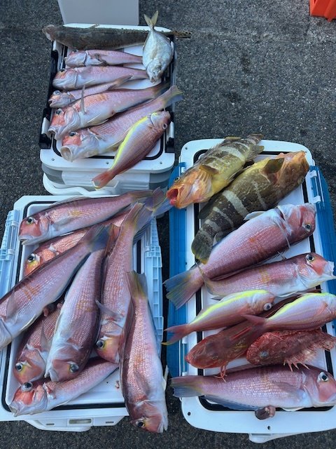 アオハタ・カイワリ・アマダイ(アカアマダイ)・イトヨリ(イトヨリダイ)・オニカサゴ・ホウボウ