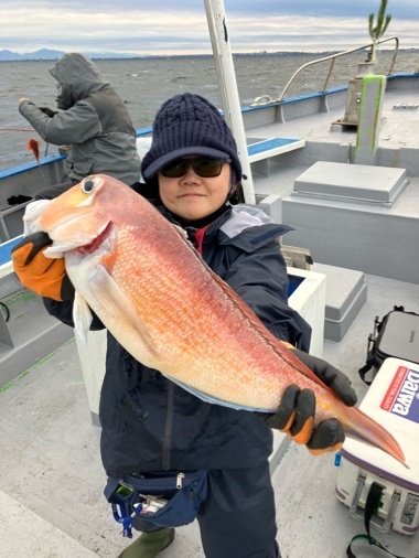 アマダイ(アカアマダイ)