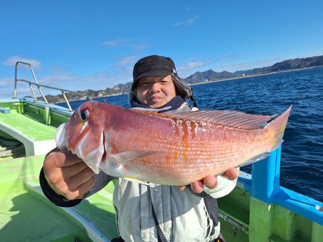 アマダイ(アカアマダイ)