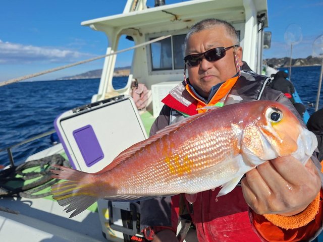 アマダイ(アカアマダイ)