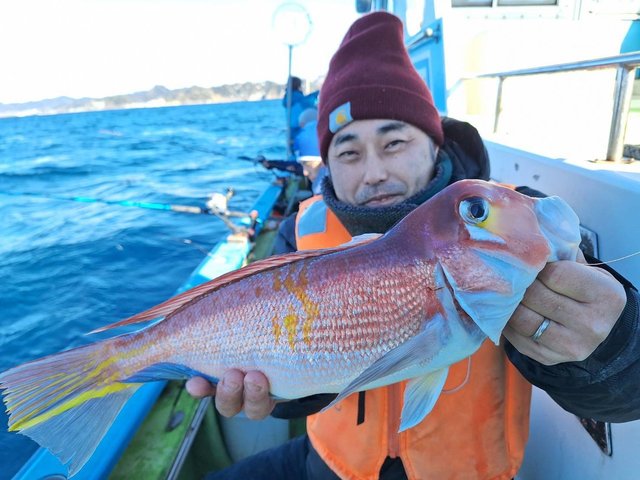 アマダイ(アカアマダイ)