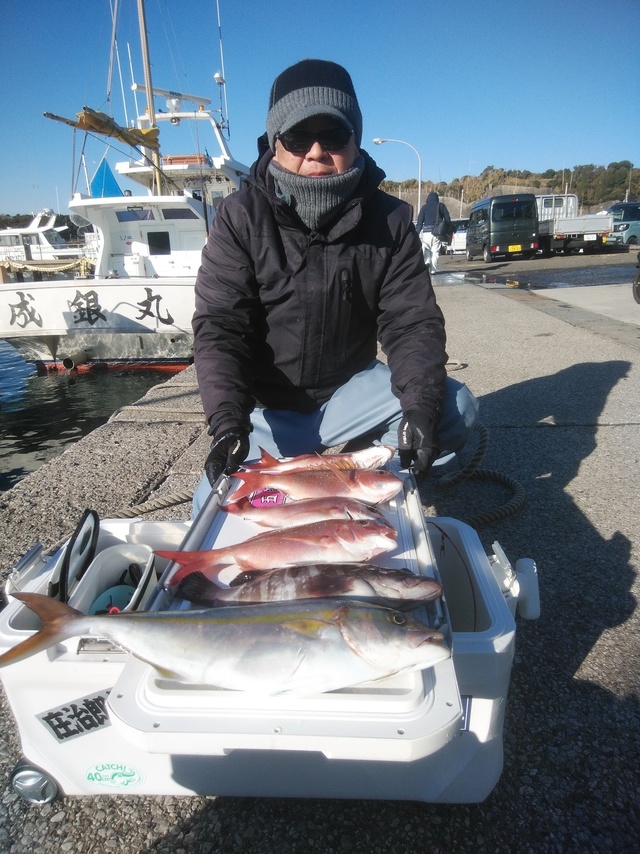 マダイ・ワラサ(ブリ)