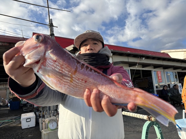 アマダイ(アカアマダイ)