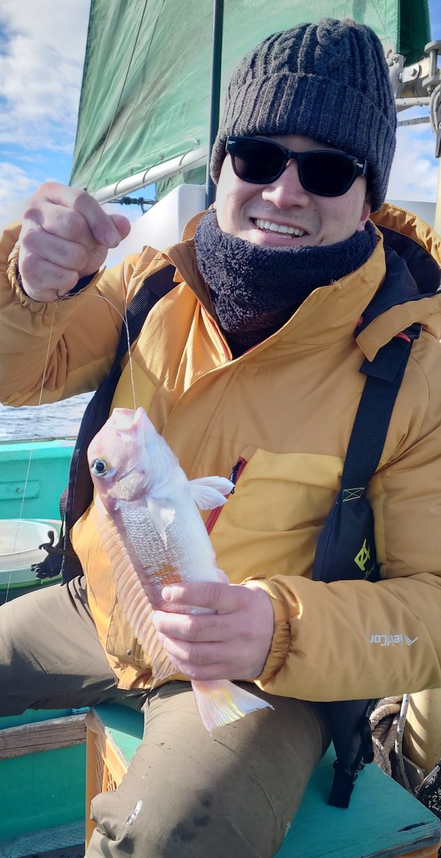 アマダイ(アカアマダイ)