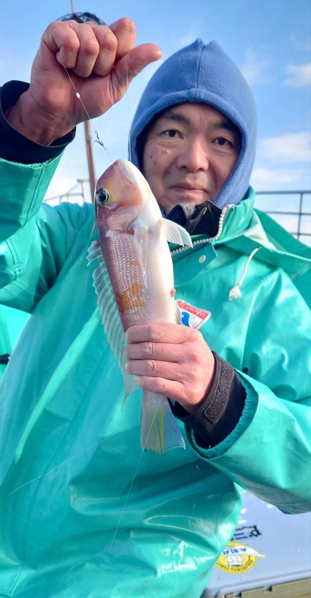 アマダイ(アカアマダイ)