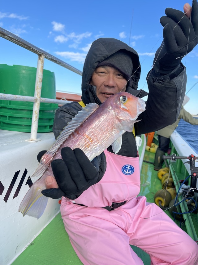 アマダイ(アカアマダイ)