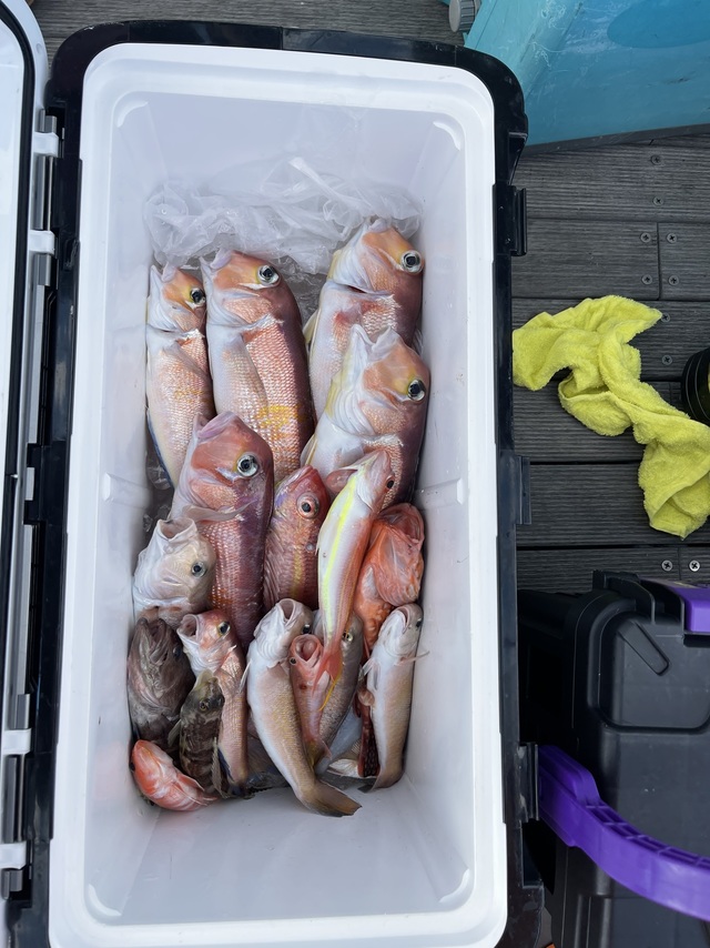 アマダイ(アカアマダイ)・イトヨリ(イトヨリダイ)