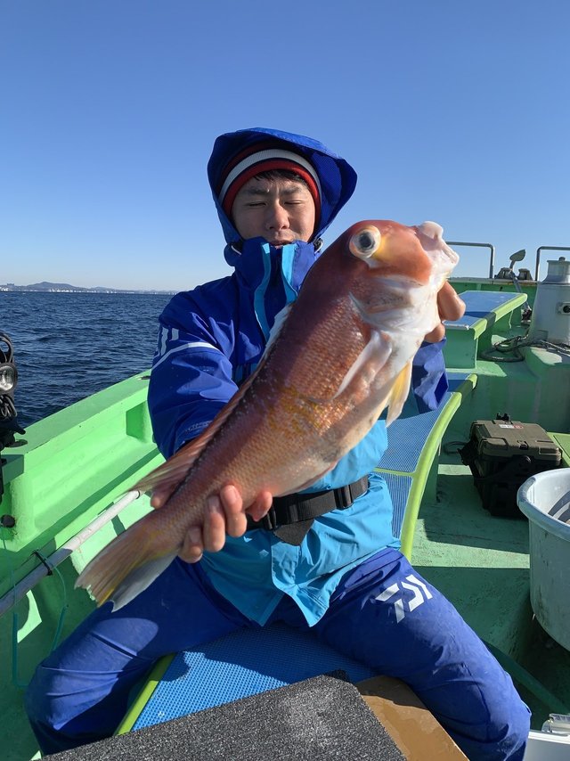 アマダイ(アカアマダイ)