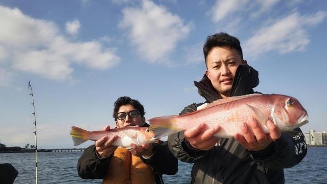 アマダイ(アカアマダイ)