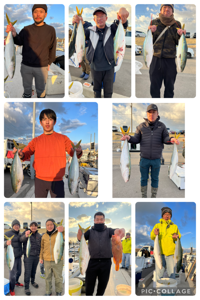 ハマチ(ブリ)・メジロ(ブリ)