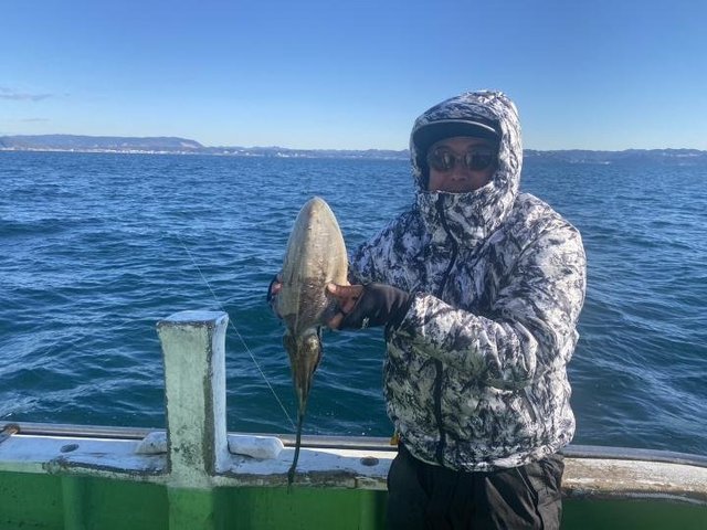 モンゴウ(カミナリイカ)