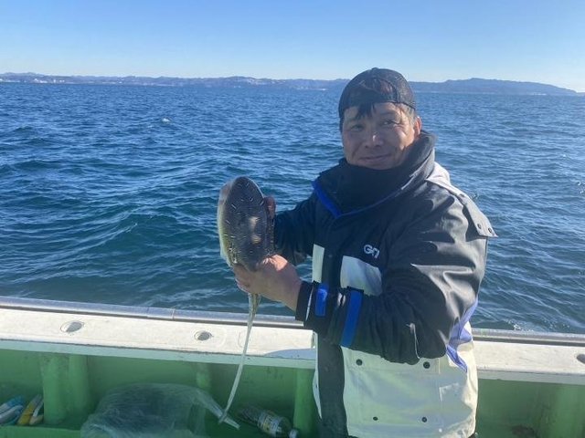 モンゴウ(カミナリイカ)