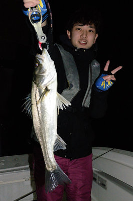 シーバス(スズキ)