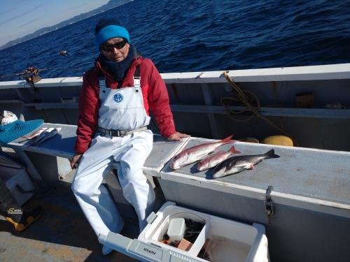 マダイ・クロダイ