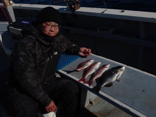 マダイ・クロダイ