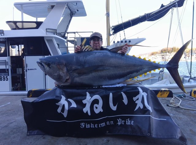 キハダマグロ(キハダ)