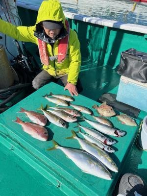 マダイ・マアジ・ハマチ(ブリ)・イサギ(イサキ)・サバ(ゴマサバ)