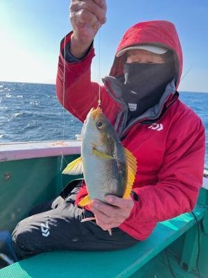 イサギ(イサキ)