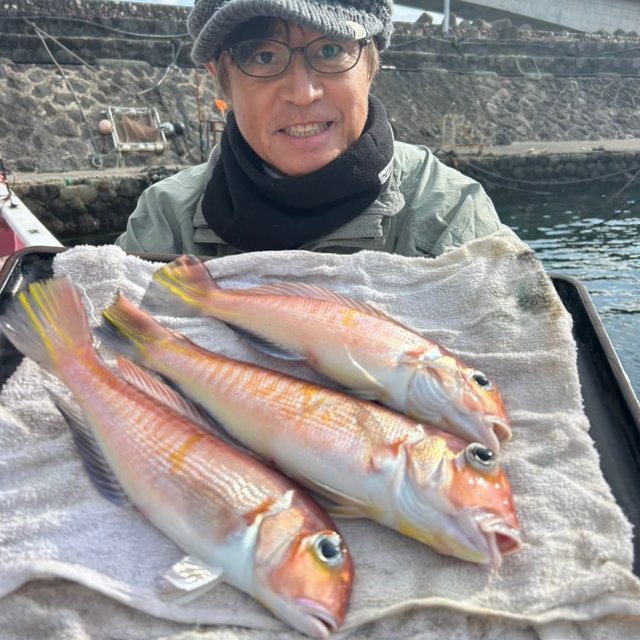 アマダイ(アカアマダイ)