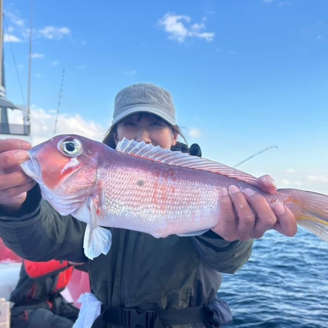 アマダイ(アカアマダイ)