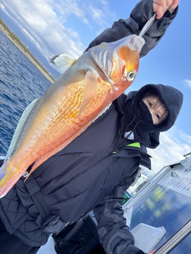 アマダイ(アカアマダイ)