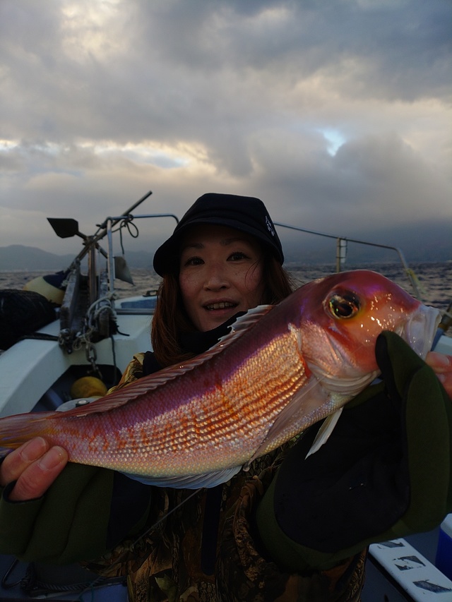 アマダイ(アカアマダイ)