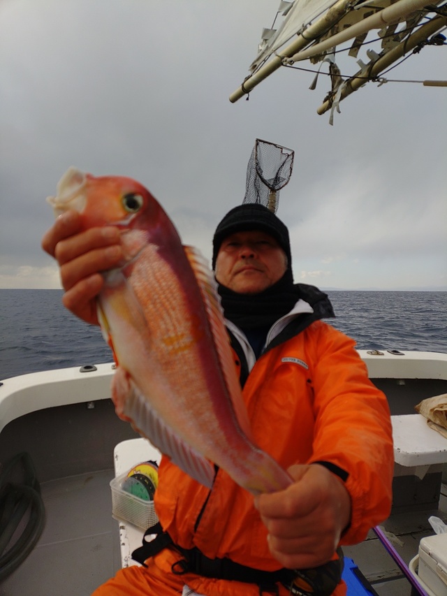 アマダイ(アカアマダイ)