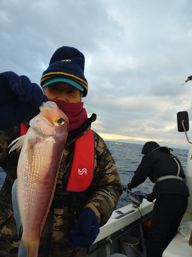 アマダイ(アカアマダイ)