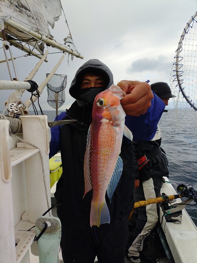 アマダイ(アカアマダイ)