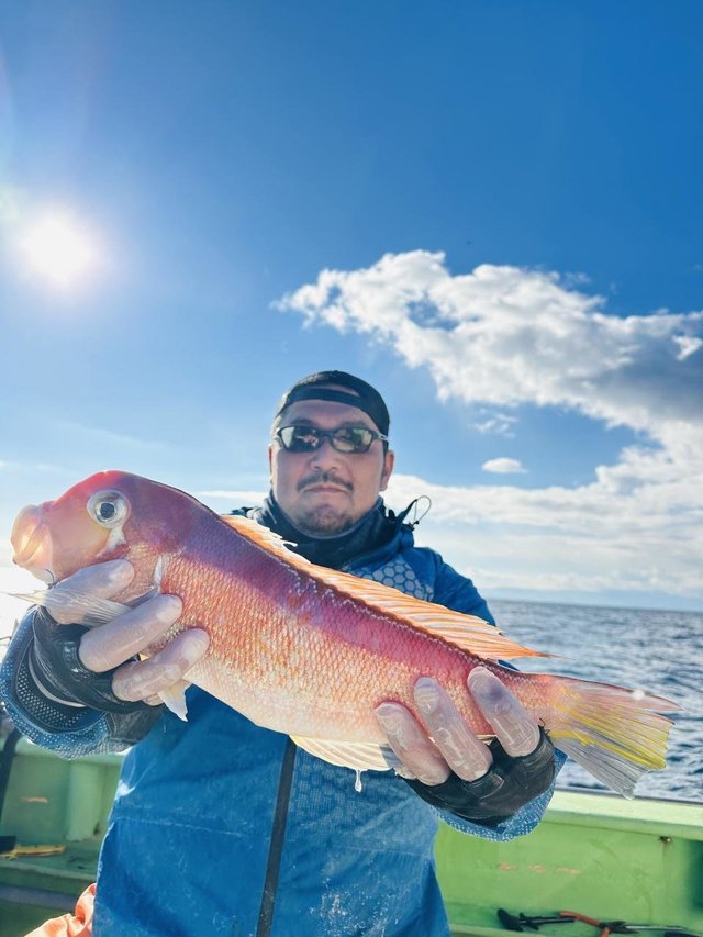 アマダイ(アカアマダイ)