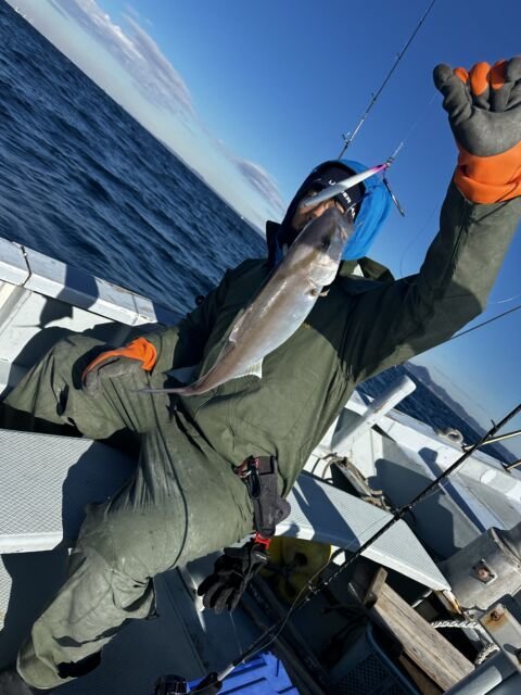 ショゴ(カンパチ)