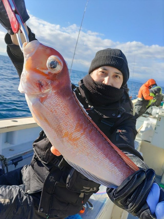 アマダイ(アカアマダイ)