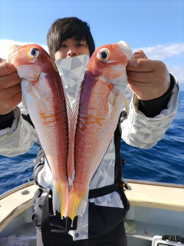 アマダイ(アカアマダイ)