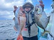 マダイ・カイワリ